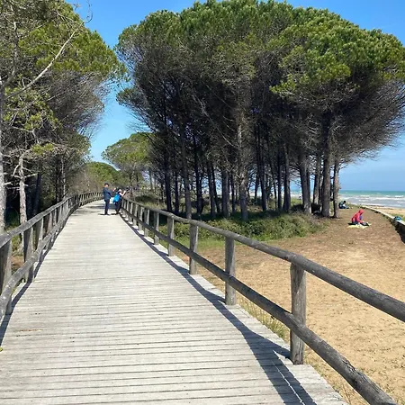 80m From The Apartment